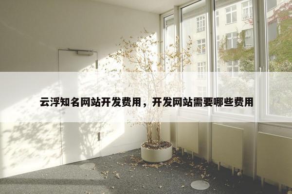 云浮知名网站开发费用，开发网站需要哪些费用