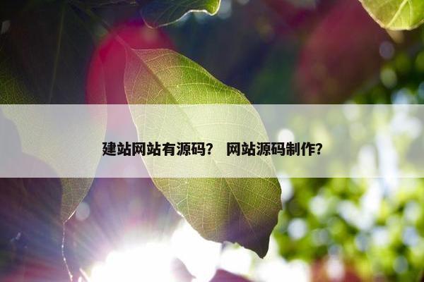 建站网站有源码？ 网站源码制作？