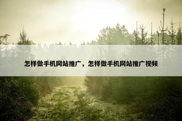 怎样做手机网站推广，怎样做手机网站推广视频