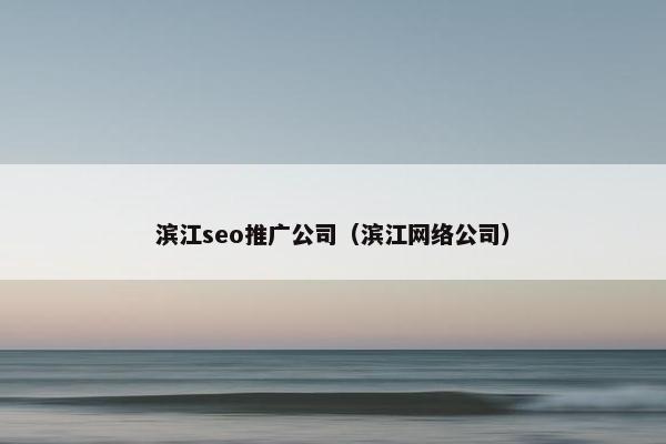 滨江seo推广公司（滨江网络公司）