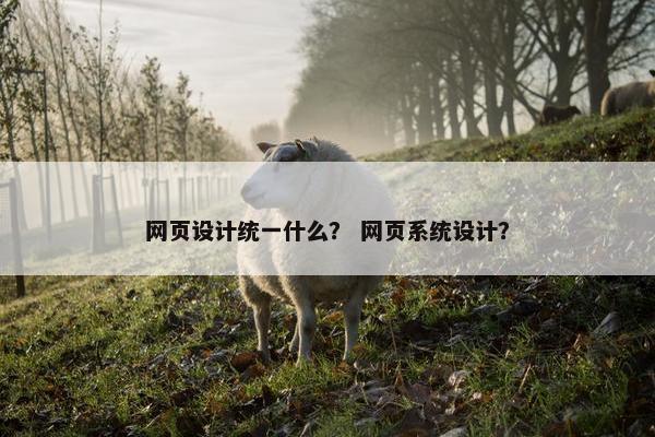 网页设计统一什么？ 网页系统设计？