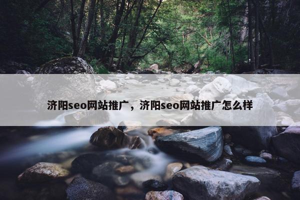 济阳seo网站推广，济阳seo网站推广怎么样