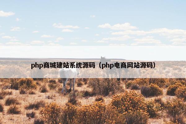 php商城建站系统源码（php电商网站源码）