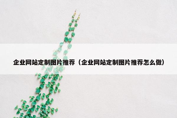 企业网站定制图片推荐（企业网站定制图片推荐怎么做）