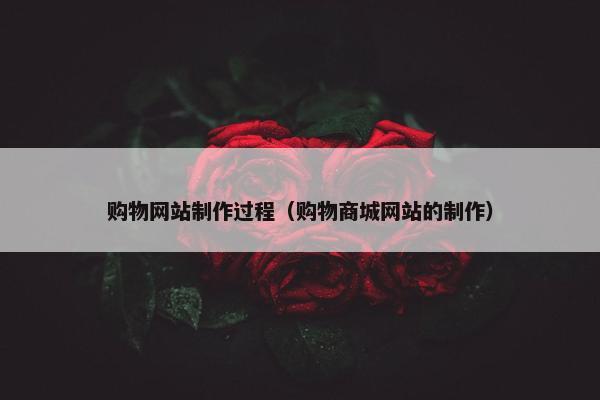 购物网站制作过程（购物商城网站的制作）