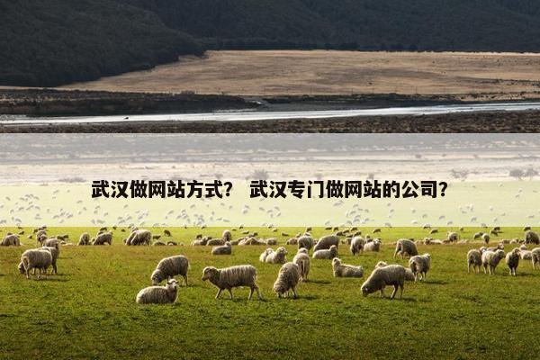 武汉做网站方式？ 武汉专门做网站的公司？