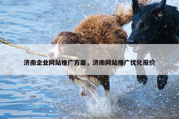济南企业网站推广方案，济南网站推广优化报价