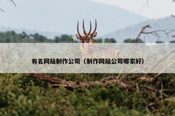 有名网站制作公司（制作网站公司哪家好）