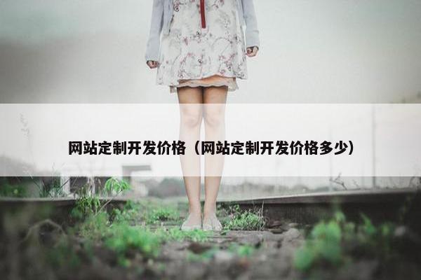网站定制开发价格（网站定制开发价格多少）