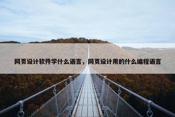 网页设计软件学什么语言，网页设计用的什么编程语言