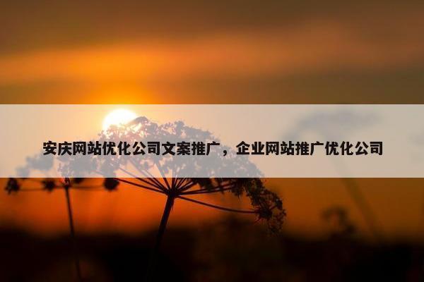 安庆网站优化公司文案推广，企业网站推广优化公司