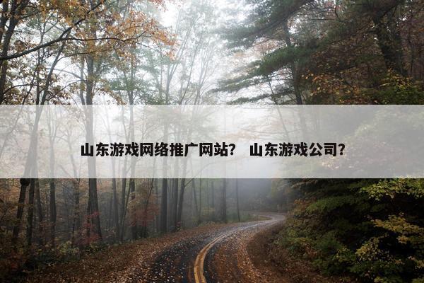 山东游戏网络推广网站？ 山东游戏公司？