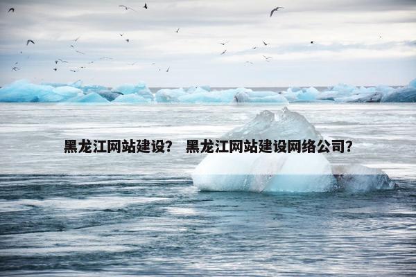 黑龙江网站建设？ 黑龙江网站建设网络公司？