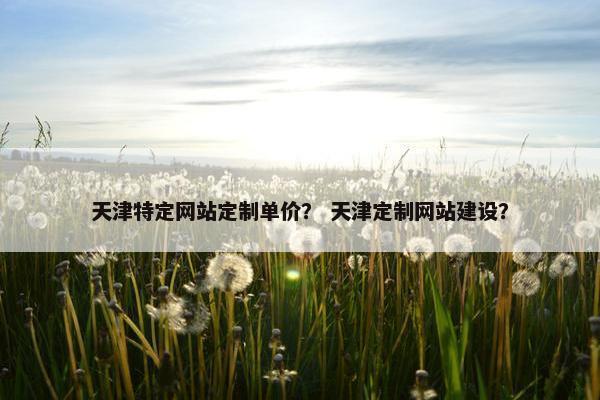 天津特定网站定制单价？ 天津定制网站建设？