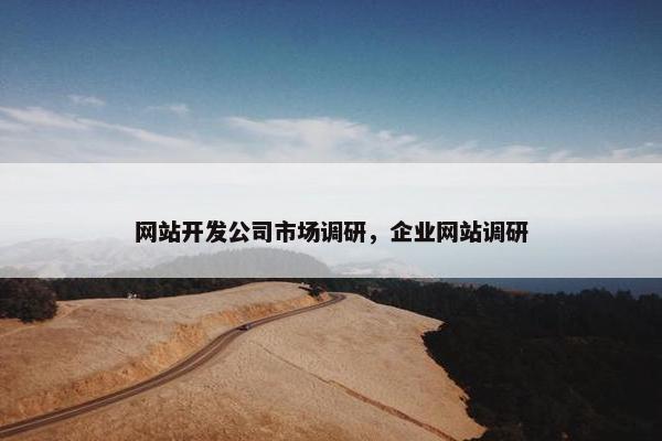 网站开发公司市场调研，企业网站调研