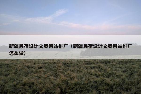 新疆民宿设计文案网站推广（新疆民宿设计文案网站推广怎么做）