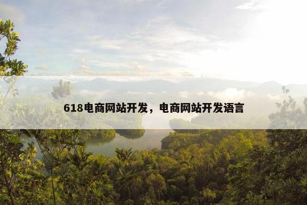 618电商网站开发，电商网站开发语言