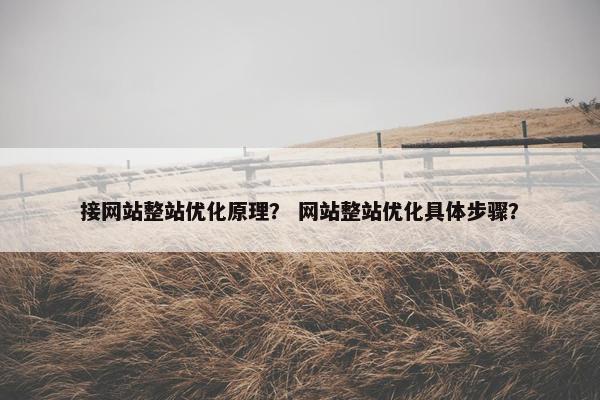 接网站整站优化原理？ 网站整站优化具体步骤？