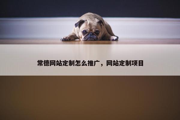 常德网站定制怎么推广，网站定制项目