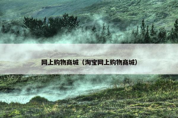 网上购物商城（淘宝网上购物商城）