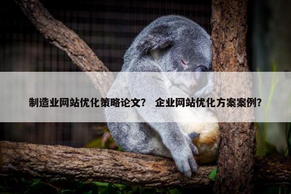制造业网站优化策略论文？ 企业网站优化方案案例？