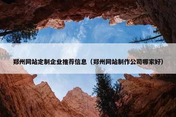 郑州网站定制企业推荐信息（郑州网站制作公司哪家好）
