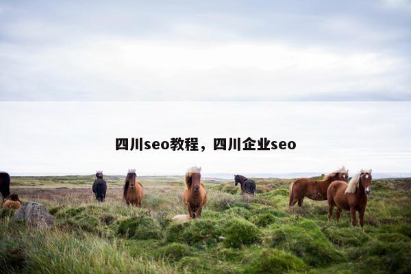 四川seo教程，四川企业seo