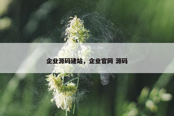 企业源码建站，企业官网 源码