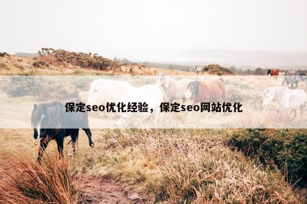 保定seo优化经验，保定seo网站优化