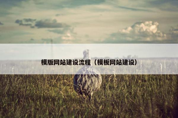 模版网站建设流程（模板网站建设）