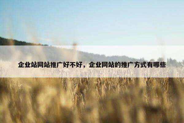 企业站网站推广好不好，企业网站的推广方式有哪些