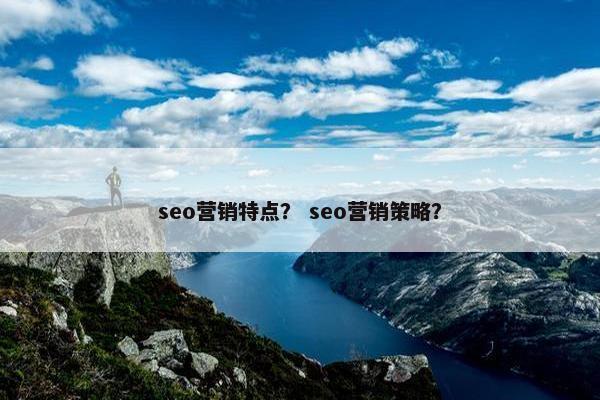 seo营销特点？ seo营销策略？