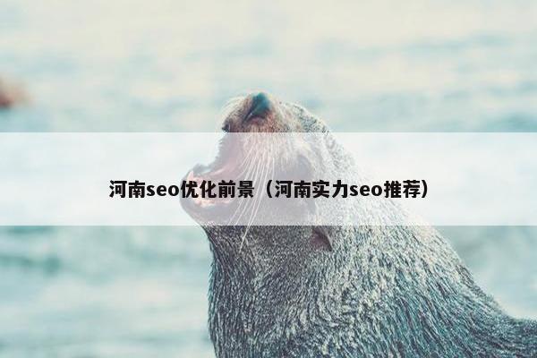 河南seo优化前景（河南实力seo推荐）