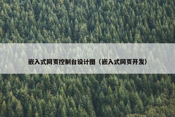 嵌入式网页控制台设计图（嵌入式网页开发）
