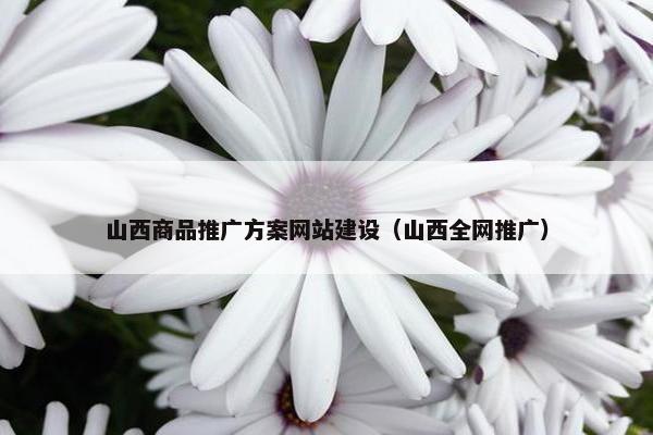 山西商品推广方案网站建设（山西全网推广）