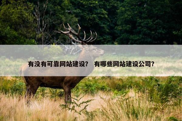 有没有可靠网站建设？ 有哪些网站建设公司？