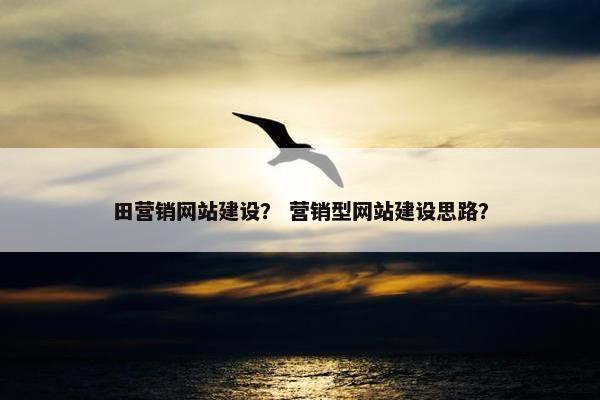 田营销网站建设？ 营销型网站建设思路？