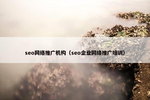 seo网络推广机构（seo企业网络推广培训）