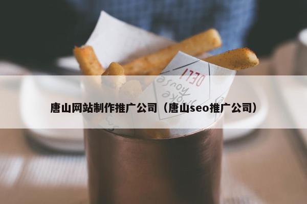 唐山网站制作推广公司（唐山seo推广公司）