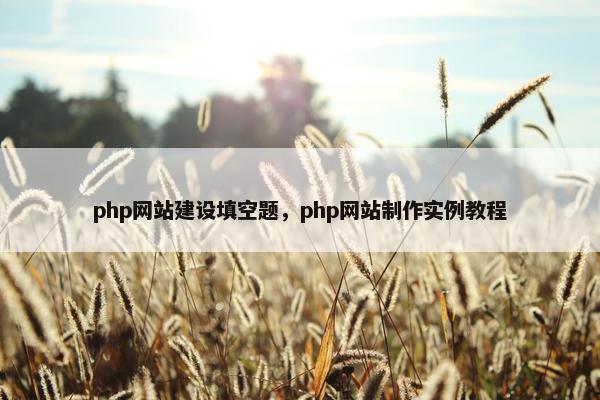 php网站建设填空题，php网站制作实例教程