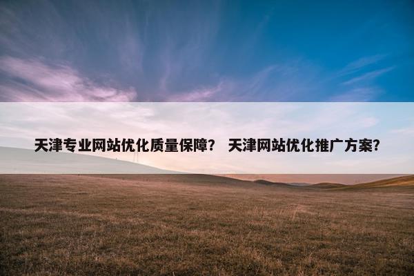 天津专业网站优化质量保障？ 天津网站优化推广方案？