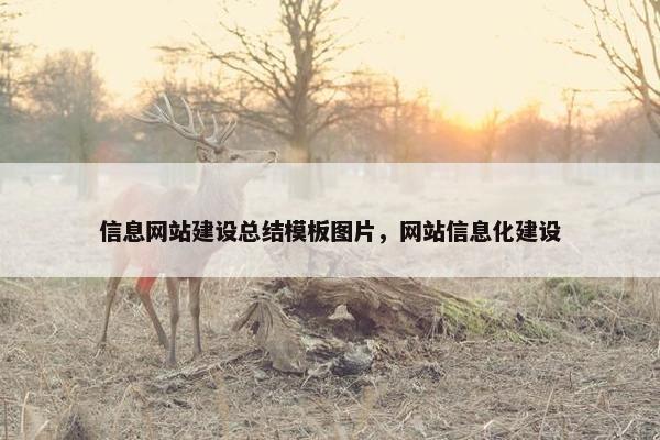 信息网站建设总结模板图片，网站信息化建设