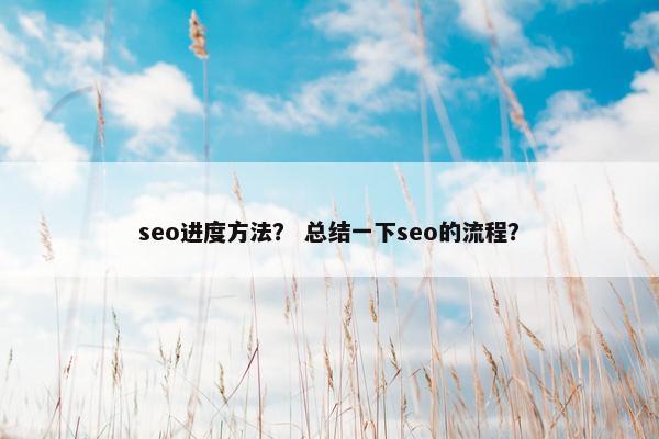 seo进度方法？ 总结一下seo的流程？