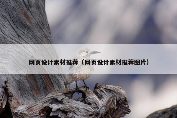 网页设计素材推荐（网页设计素材推荐图片）