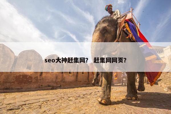 seo大神赶集网？ 赶集网网页？