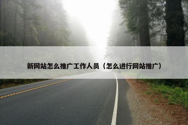 新网站怎么推广工作人员（怎么进行网站推广）