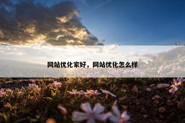网站优化家好，网站优化怎么样