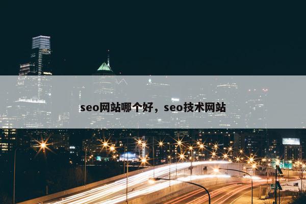 seo网站哪个好，seo技术网站