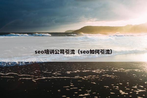 seo培训公司引流（seo如何引流）