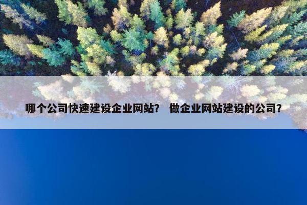 哪个公司快速建设企业网站？ 做企业网站建设的公司？